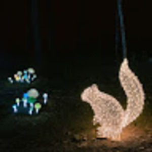 Meet your Posher, Ah hyun